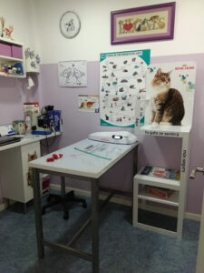 Centro Veterinario Fleta