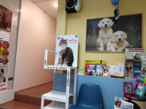 Clinica Veterinaria Coso