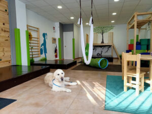 PSICORP Psicología Infantil en Zaragoza y Terapia Corporal