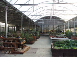 Centro de Jardinería y Floristería Laraflor - Viveros Valdespartera