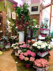 Floristería Los Sitios