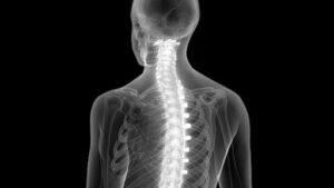 Hypatia Centro Osteopatico Parasanitario