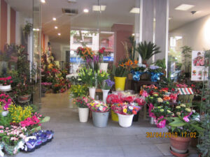 Gálvez Floristas