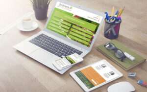 Anasaci. Diseño Web Zaragoza