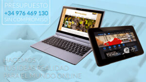 Diseño de páginas web en Zaragoza Inicionet
