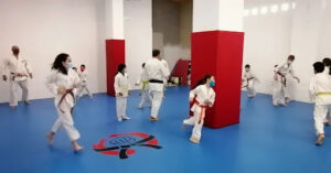Dojo Dento Ryu