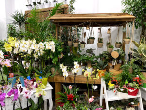 Floristas García