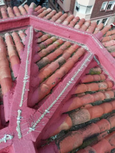 Construcciones Jjg S.C.
