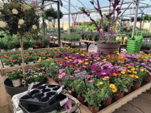 Jara Garden Center