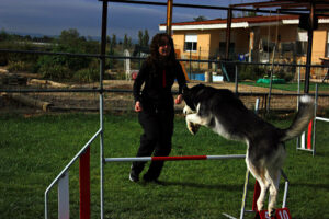 Centro Canino Sa Roca - Guardería Canina