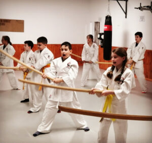 Dojo Dento Ryu Delicias. Escuela de Artes Marciales