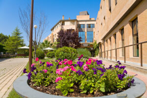 Residencia Buganvillas
