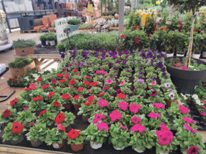 Jara Garden Center