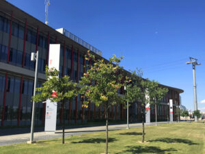 Cesur Zaragoza
