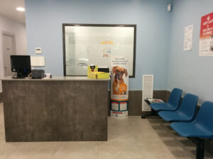 Clínica Veterinaria Zaragoza Centro