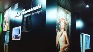 Ana Navascues, Asesores de Imagen