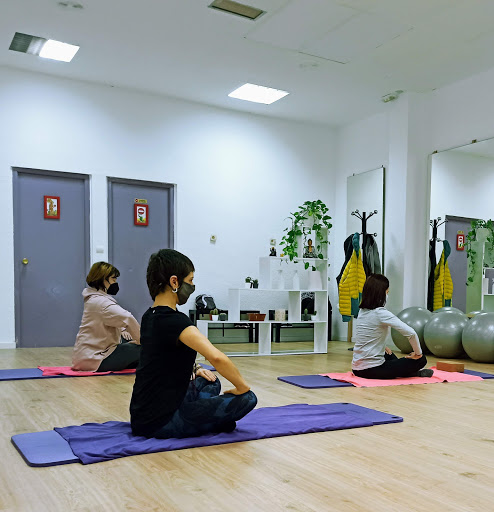 Pilates ONNA Salud y Movimiento Las Fuentes   Yoga • Espalda Sana • Hipopresivos • Tonificacion en Zaragoza