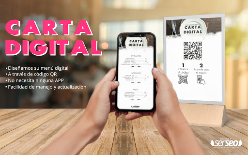 Serseo Agencia de Marketing Digital en Zaragoza