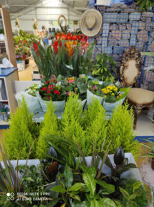 EBRO JARDIN ARAGON SA