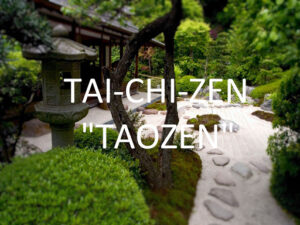 Escuela Tai-Chi-Zen "Tai chi, Meditación y Chi-Kung en Zaragoza"
