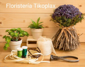 Floristería Tikoplax