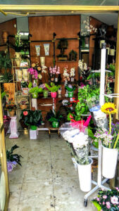 Floristería Conde XIII