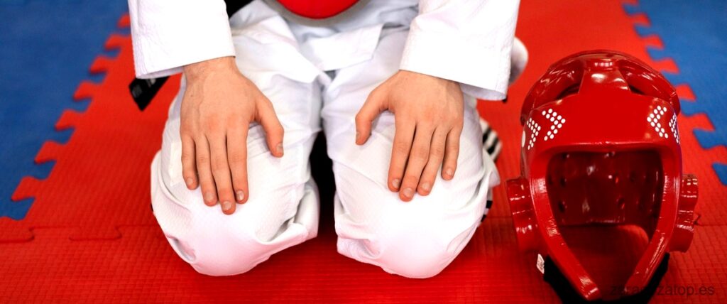 Las 12 mejores escuelas de Taekwondo de Zaragoza
