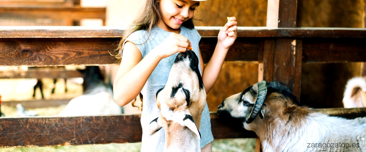 ¿Cuáles son las actividades que se llevan a cabo en una granja para niños en Zaragoza?