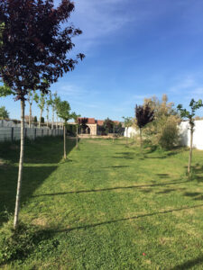 Residencia Canina Happy Dogs