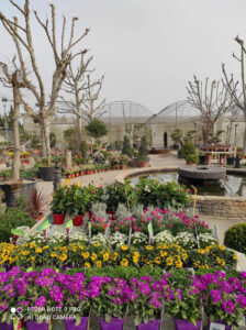 EBRO JARDIN ARAGON SA