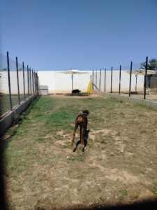 Residencia mascotas Alaguau