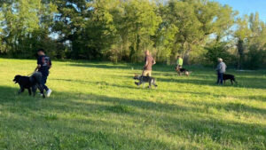 Club Canino Open de España
