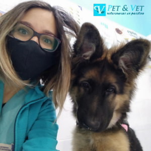 Pet and Vet Veterinarios en Positivo