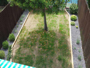 Servicio de Jardinería en Zaragoza   Arboreum