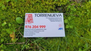 Fincas Torrenueva