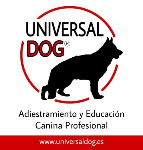 Universal Dog Adiestramiento y Educación canina